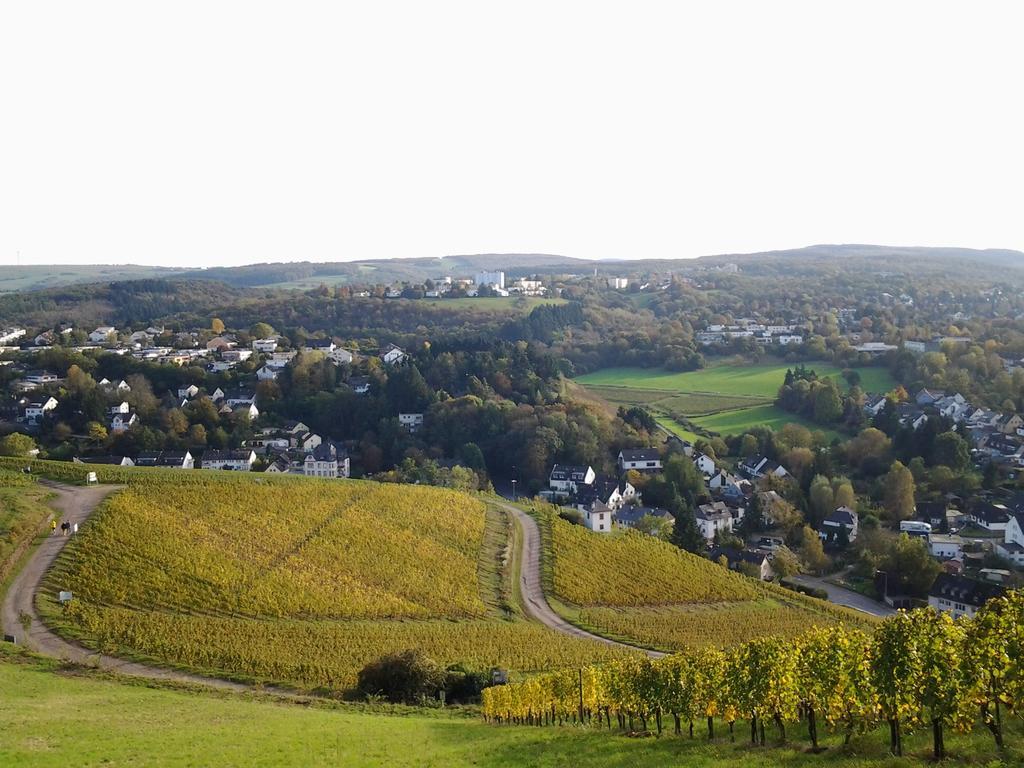 Appartamento Saar-Mosel-Tal Konz Esterno foto